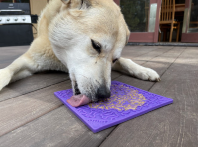 Top 5 des meilleurs tapis de léchage pour chien : notre avis