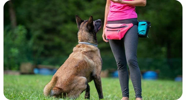 Liste des dresseurs professionnels de chien d'arrêt