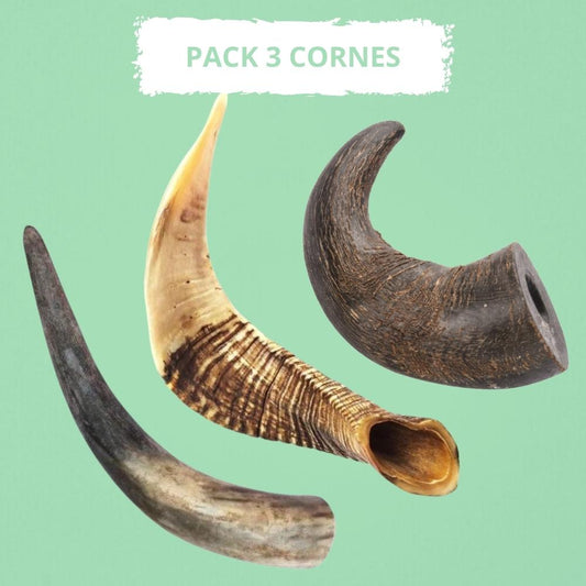 Pack Mastication 3 Cornes