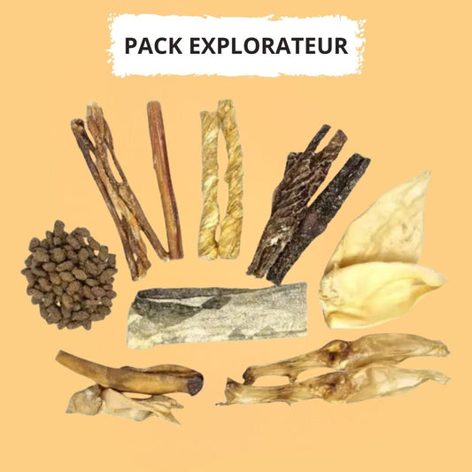 Pack Découverte